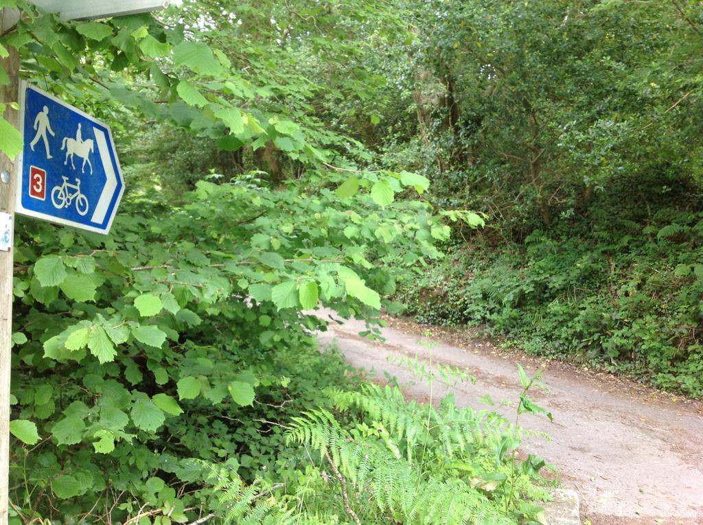 Eden'S Yard Backpackers Hostel St Austell Εξωτερικό φωτογραφία